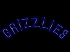 Rhinestone Biz Hot Fix Crystal Transfer Motif - Memphis Grizzlies Logo